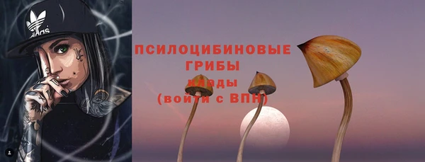 твердый Саяногорск