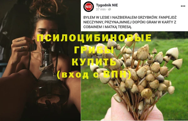 2c-b Сафоново