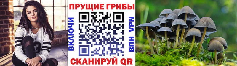 Галлюциногенные грибы GOLDEN TEACHER  купить наркотики цена  Свирск 